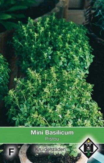 Basilicum Pistou (Ocimum basilicum) 350 zaden